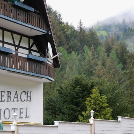 Seebach-Hotel Exterior foto